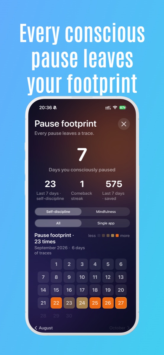 Pause footprint overview